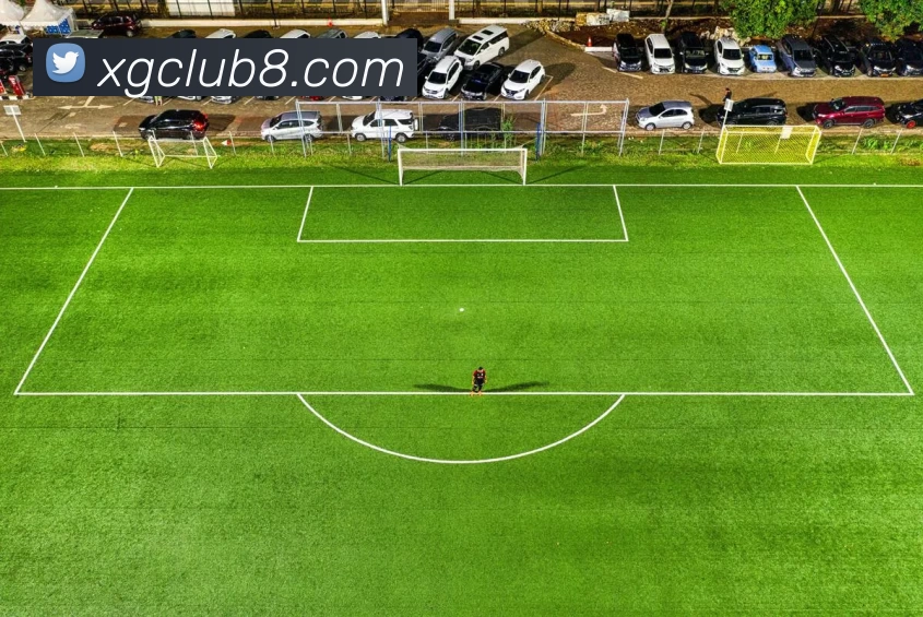 新贵游戏官网发展历程